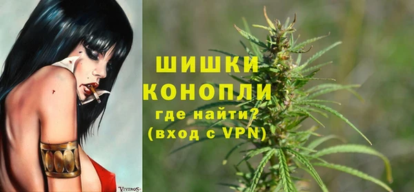 трава Белокуриха