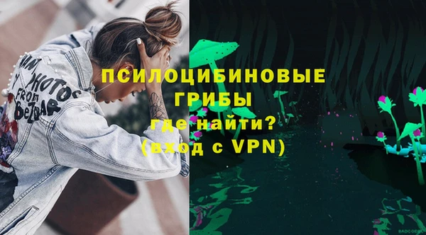 трава Белокуриха