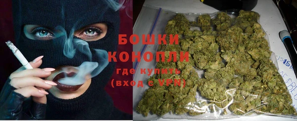 трава Белокуриха