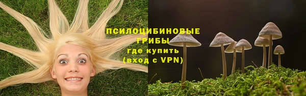 трава Белокуриха